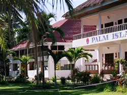 Palm Island Hotel and Dive Resort Bohol