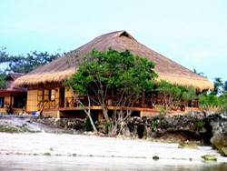 Pamilacan Island Paradise Hotel Bohol