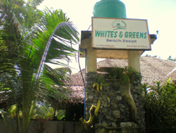 Whites and Greens Beach Resort  Bohol
