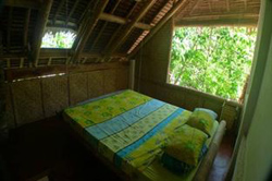 Papaya Resort Boracay