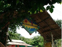 Kokusnuss Resort