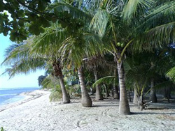 Villa Del Nico Beach Resort Ilocos Norte