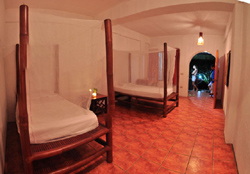 The Blue Orchird Resort Moalboal Cebu