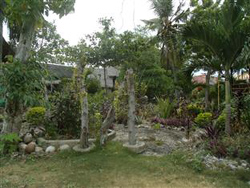 Mayas Native Garden Moalboal Cebu