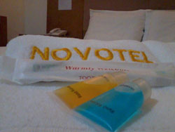 Asia Novotel Hotel