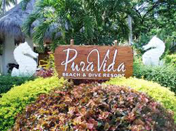 Pura Vida Beach and Dive Resort Negros Oriental