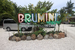 Brumini Beds and Beach Resort Oslob