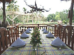 Bohol Coco Farm Hotel