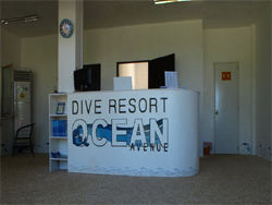 Ocean Avenue Dive Resort
