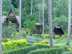Coconut Garden Island Resort