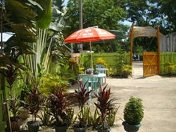 Alcarlo's Pension House Puerto Princesa