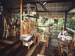 Bambua Nature Cottages