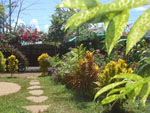 Jungle Flower Guesthouse