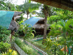 Palmera Garden Hotel and Beach Resort Zambales