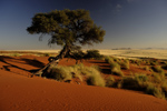 Photos of Namibia