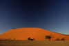 reviews of places to stay in Namibia