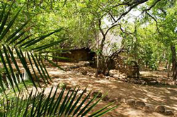 Ndzalama Wildlife Reserve