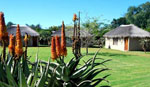 Bed and breakfast addo