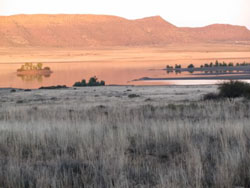 hotels in south africa