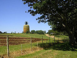 hotels in south africa