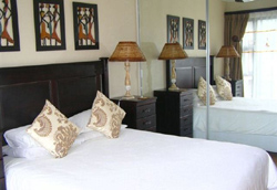 Avon Road Guesthouse and Tours