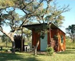 Bee Tree Boma Bush Cabins