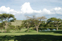 Nxala Ranch