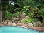 durban north bed and breakfasts
