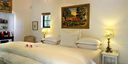 Akademie Street Boutique Hotel and Guest House