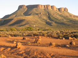hotels in south africa