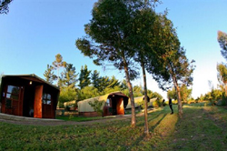 Tri Active Tented Lodge