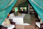 Bucklands Luxury Tent Camp Grahamstown hotels south africa