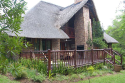 Kruger Park Shongwe Ingwe