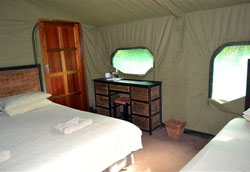 Ingwe Bush Camp