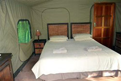 Ingwe Bush Camp