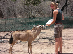 Daktari Bush School and Wildlife Orphanage