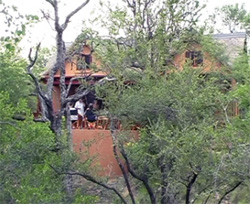 Etikweni Wildlife Estate