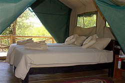Porcupine Bush Lodge