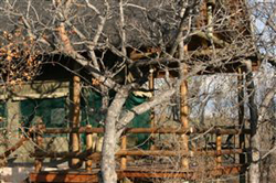 Sausage Tree Bush Camp