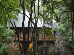 Rockwood Forest Lodge 