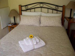 Sunflowers Guest House