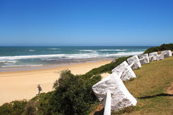 hotels in south africa
