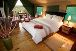 Sebumo Tude Nature's Lounge Kenton on Sea hotels south africa