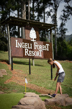 Ingeli Forest Resort