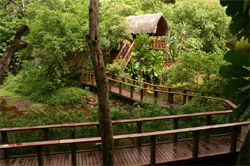 Serenity Forest Eco Reserve Malelane