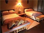 south africa hotels