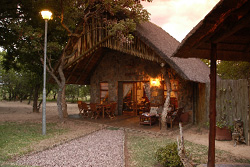 Nkonka Bush Lodge