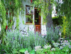 Blommenhuis Bed and Breakfast