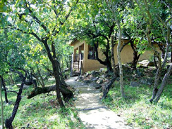 Bhejane Bush Lodge