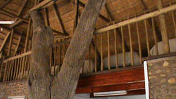 Ngulube Game Lodge Phalaborwa
